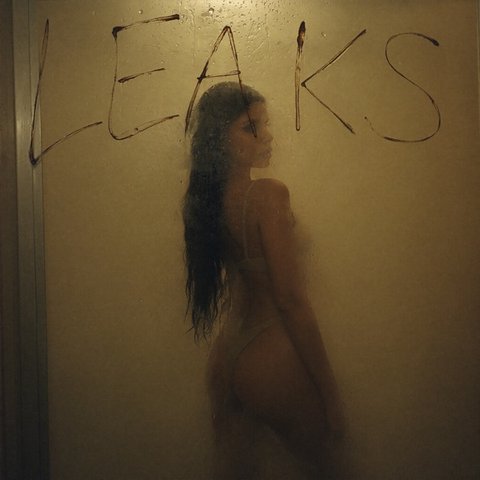 LEAKS — cover